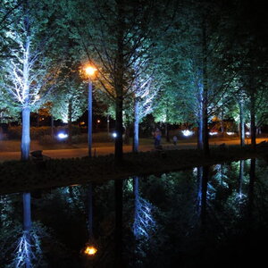 [DSC-WX1] 010.jpg